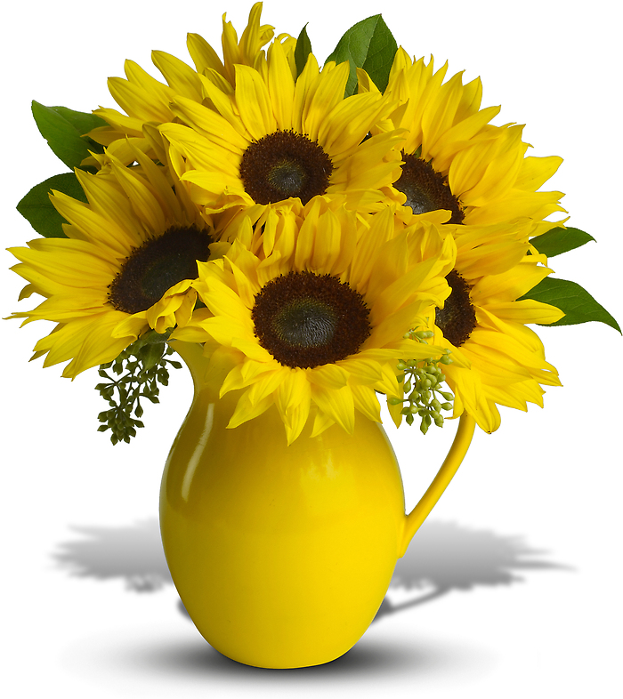 Sunny Day Pitcher of Sunflowers