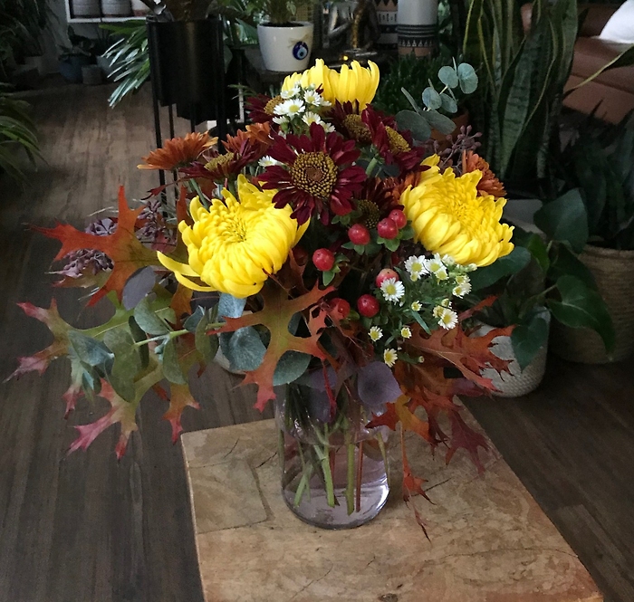 Amazing Autumn