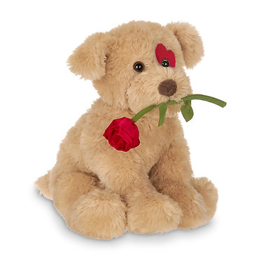 Cuddlesmore the Dog