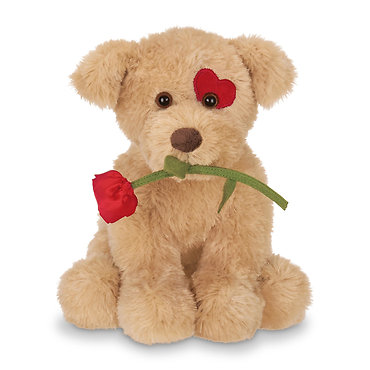 Cuddlesmore the Dog