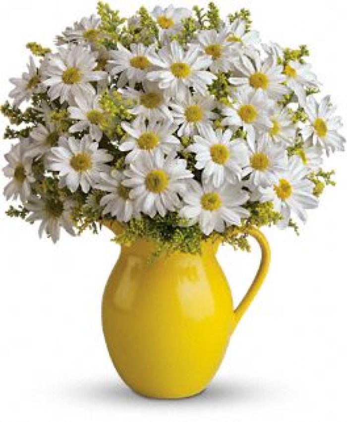 Sunny Day Pitcher of Daisies